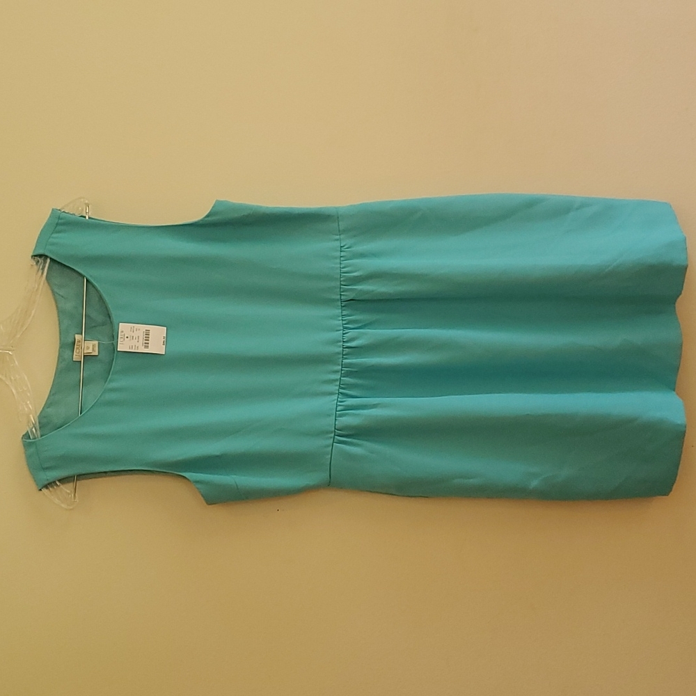 J. Crew Dress